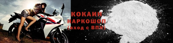 прущие грибы Навашино