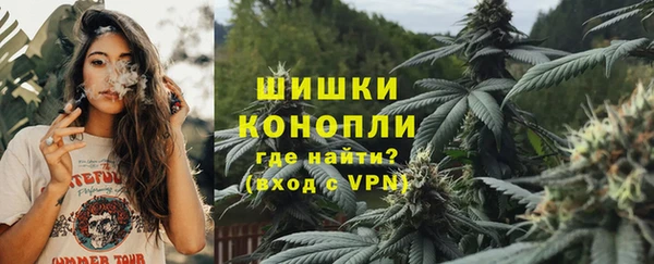 прущие грибы Навашино