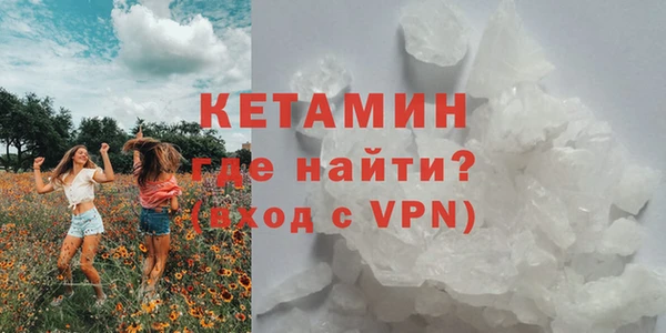 прущие грибы Навашино