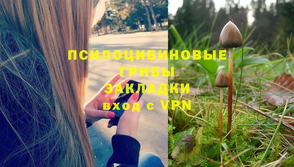 прущие грибы Навашино