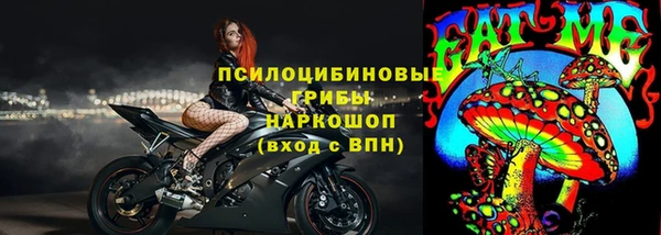 прущие грибы Навашино