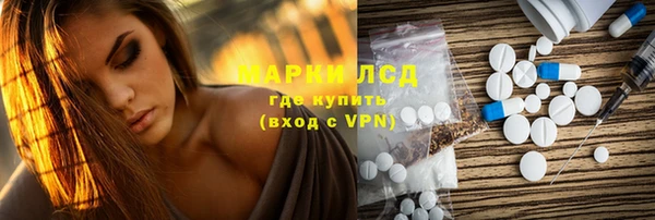 прущие грибы Навашино