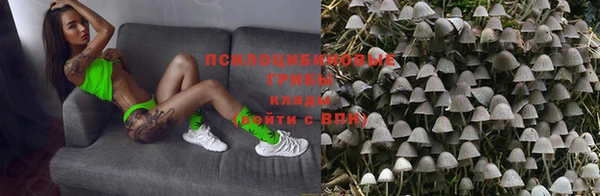 мдпв Нея